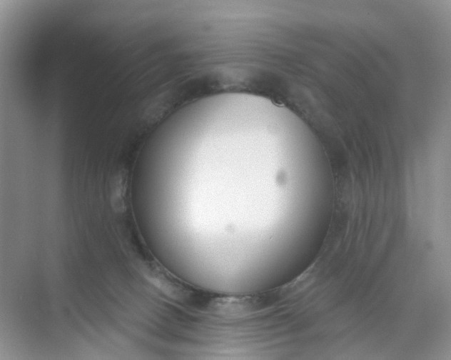 X0000074940082200609152016