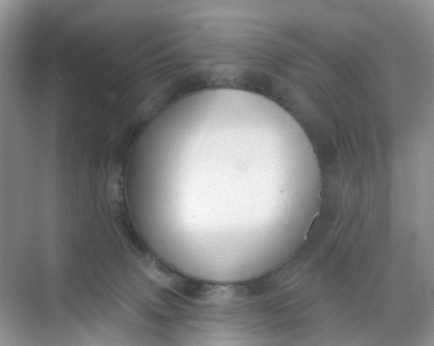 X0000074940083200609152016