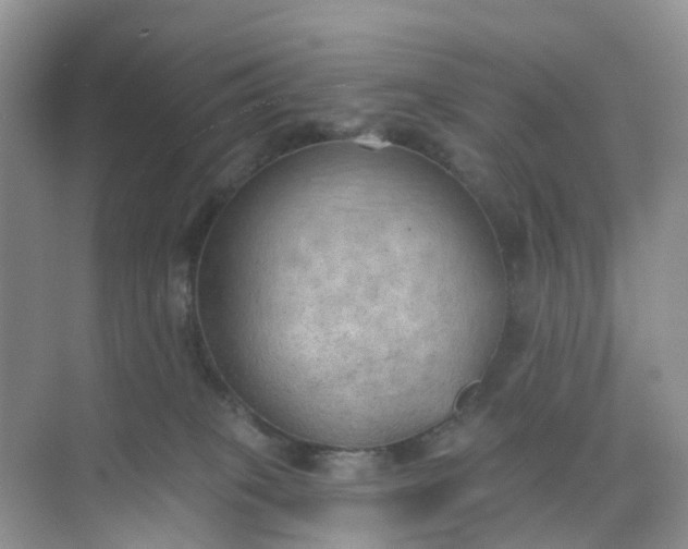 X0000074940085200609152016