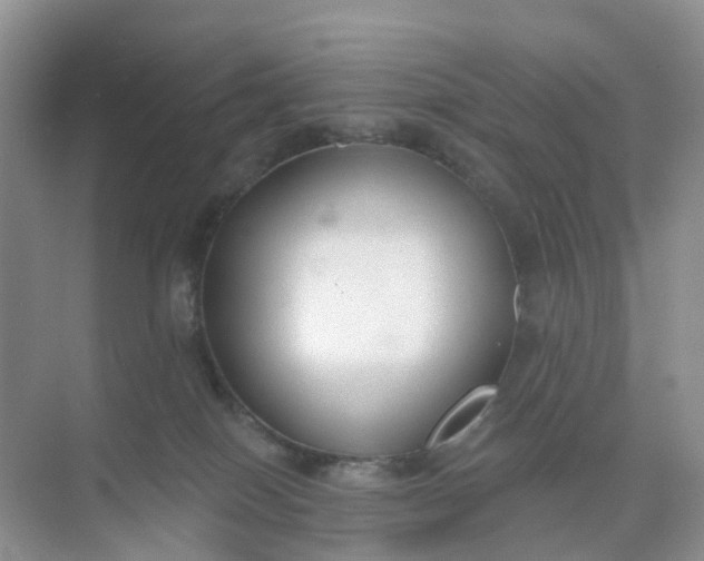 X0000074940086200609152016