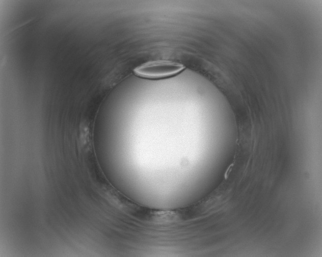 X0000074940087200609152016