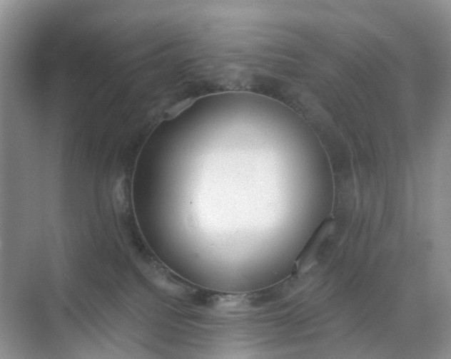 X0000074940088200609152016