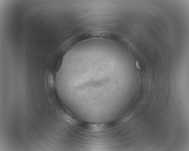 X0000074940089200609152016