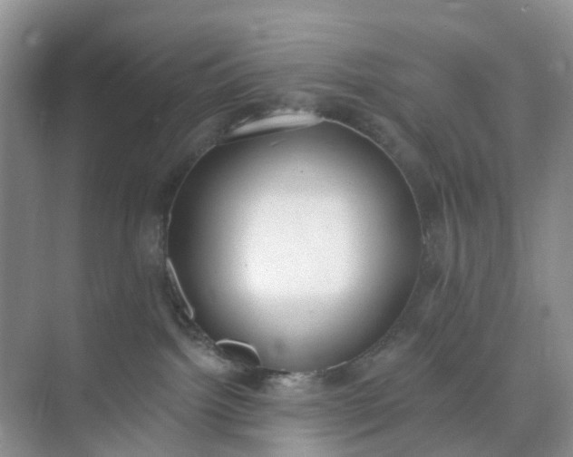 X0000074940092200609152016