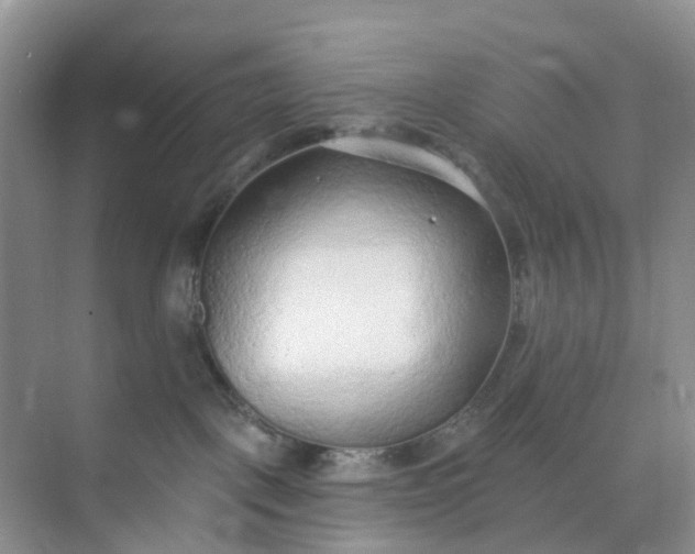 X0000074940093200609152016