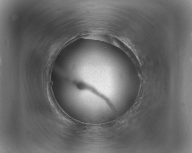 X0000074940097200609152015