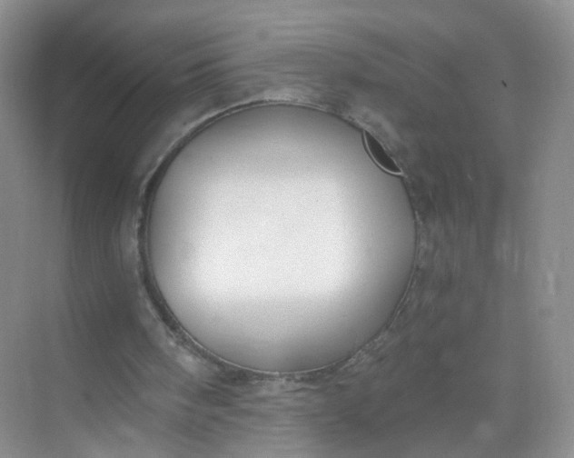 X0000074940098200609152015