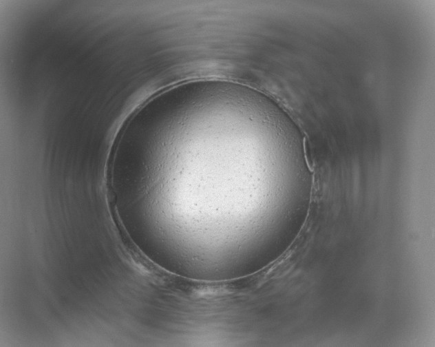 X0000074940099200609152015