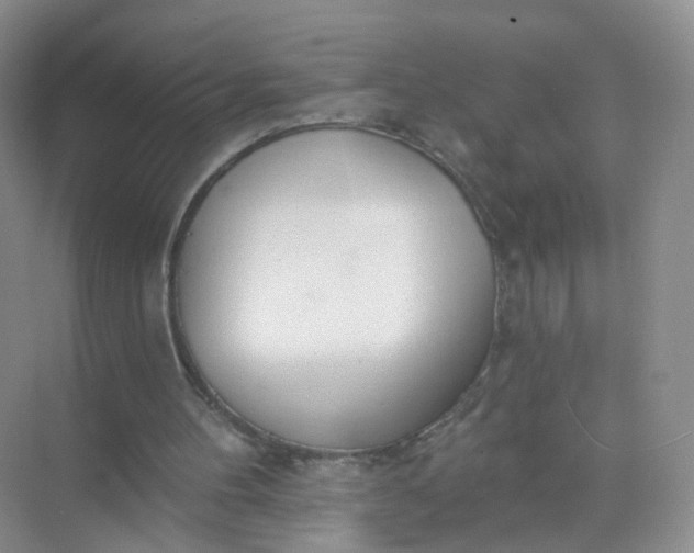 X0000074940100200609152015