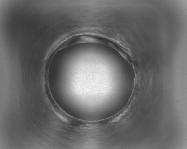 X0000074940101200609152015