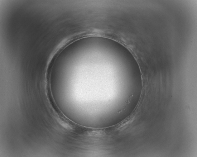 X0000074940102200609152015