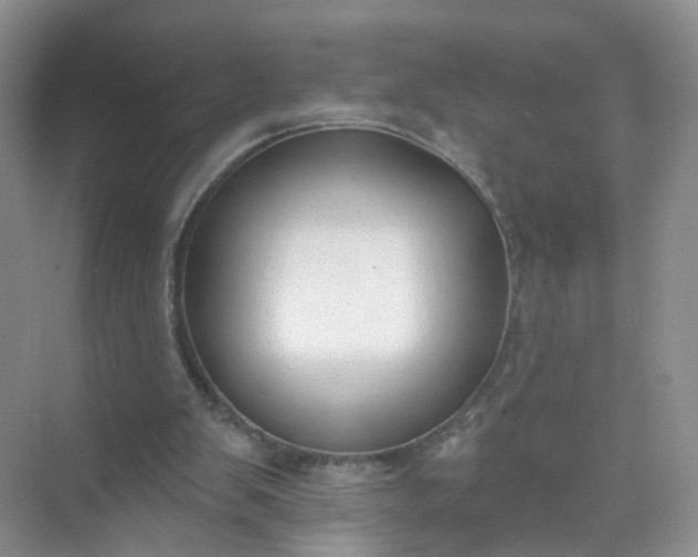 X0000074940103200609152015