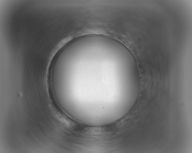 X0000074940104200609152015