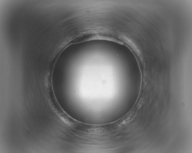 X0000074940105200609152015