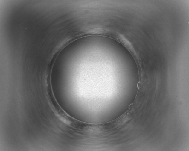 X0000074940106200609152015