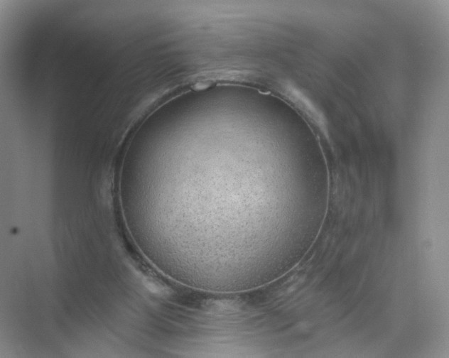 X0000074940107200609152015