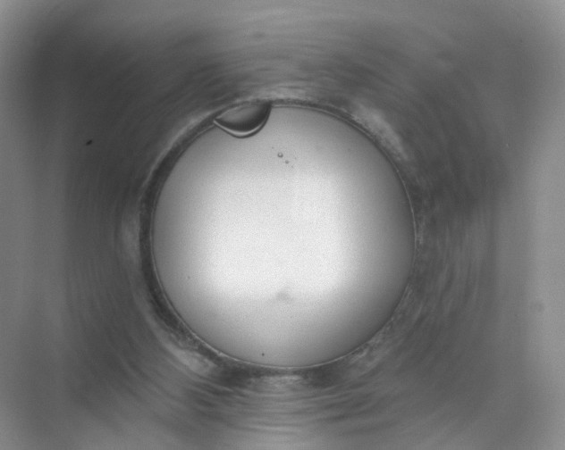 X0000074940108200609152015