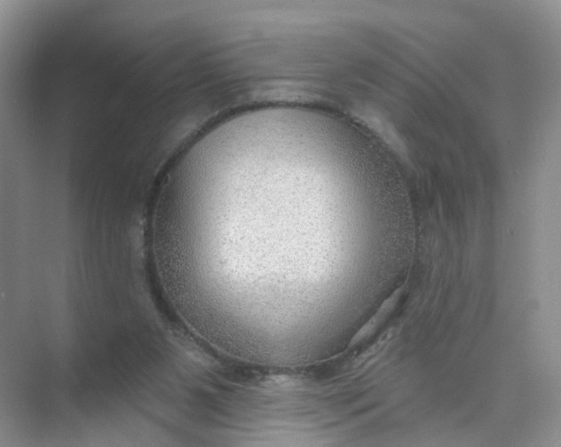 X0000074940111200609152015