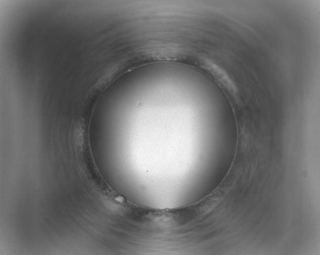 X0000074940113200609152015