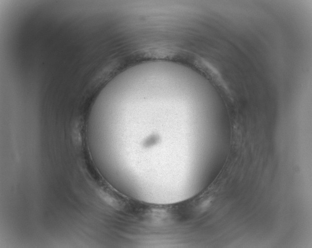 X0000074940114200609152015