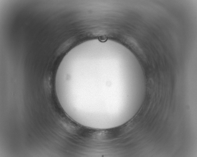 X0000074940116200609152015