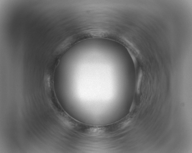 X0000074940117200609152015