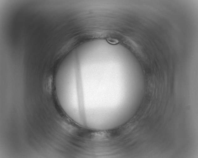 X0000074940118200609152015