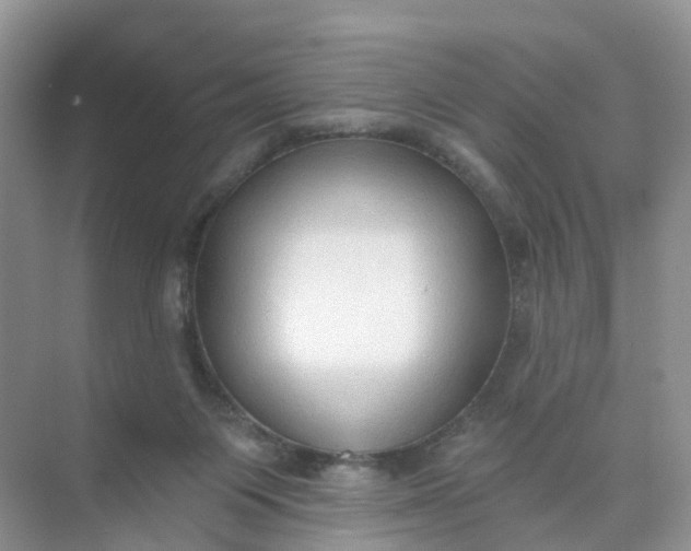 X0000074940119200609152015