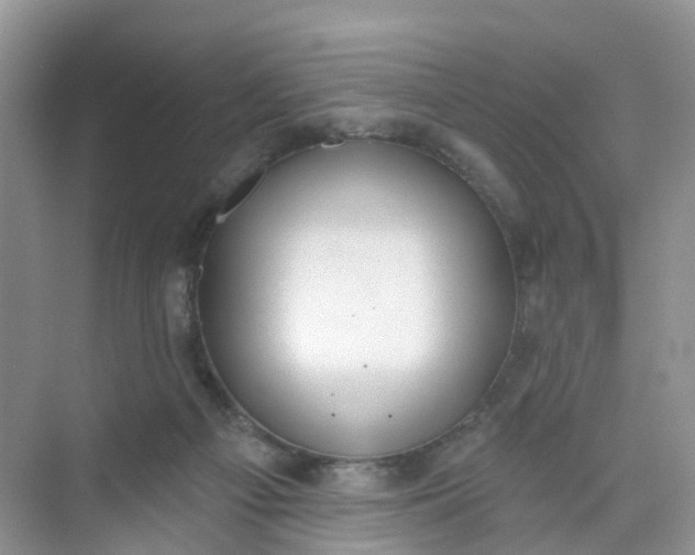 X0000074940121200609152015