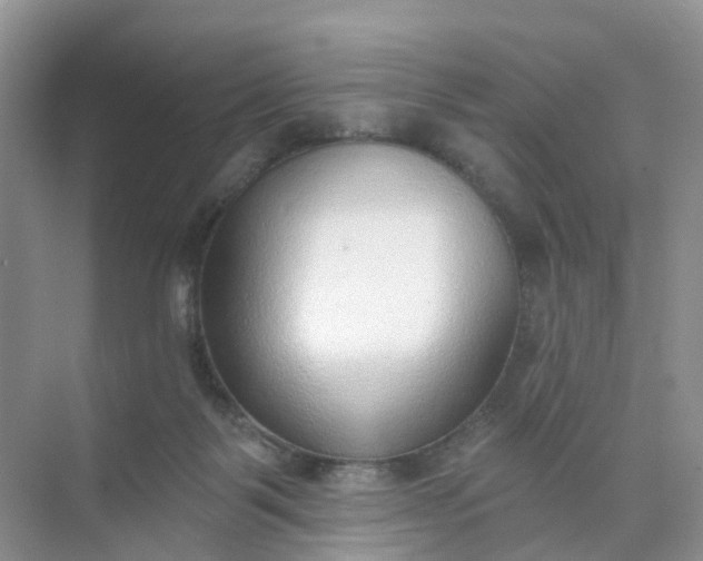 X0000074940123200609152015