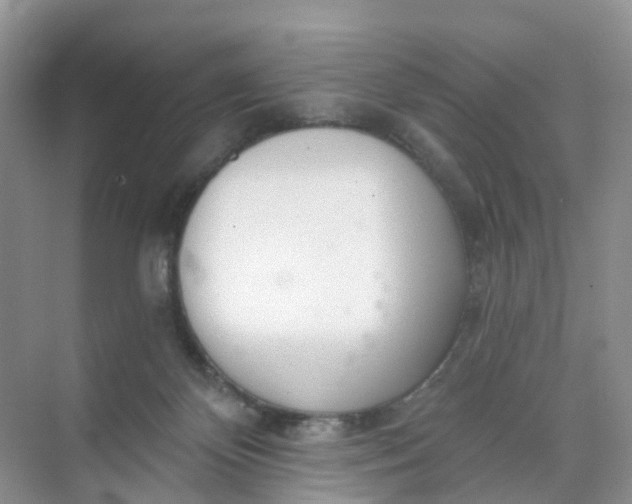 X0000074940124200609152015