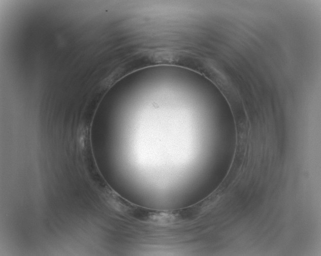 X0000074940125200609152015