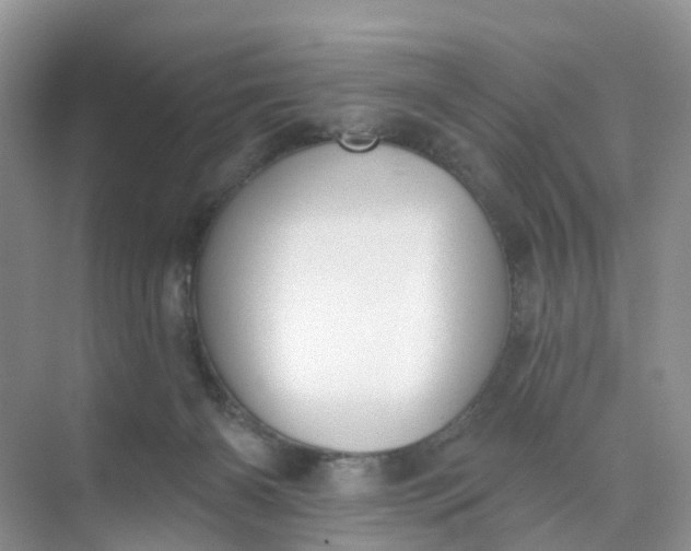 X0000074940126200609152014