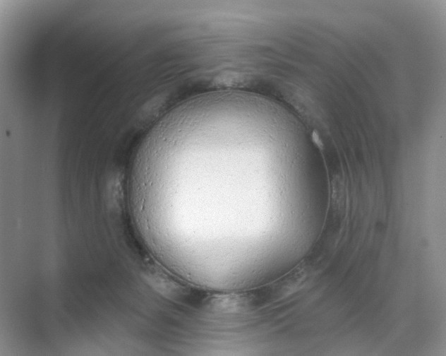 X0000074940127200609152014