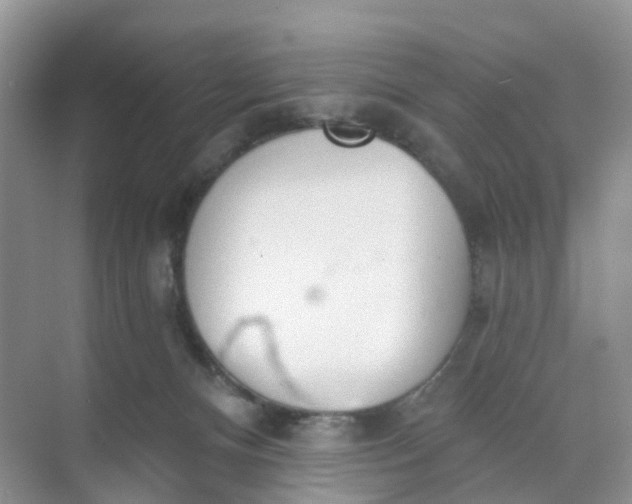 X0000074940128200609152014