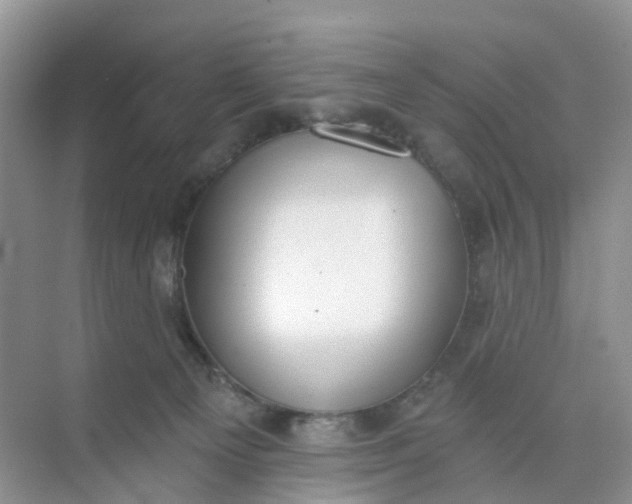 X0000074940129200609152014