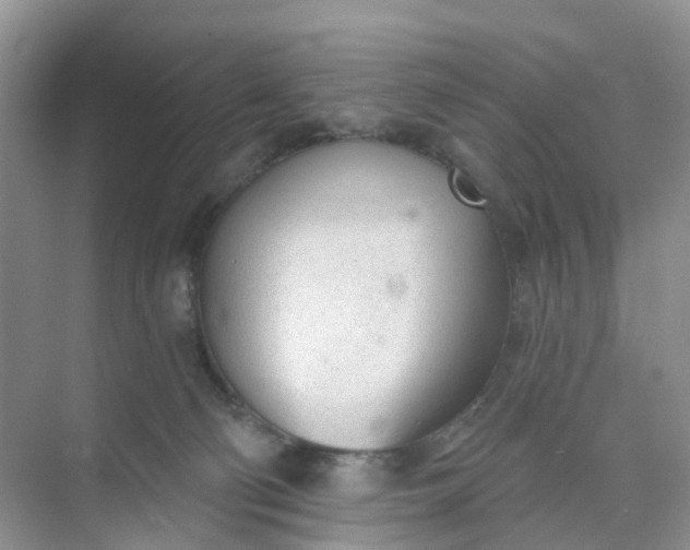 X0000074940130200609152014