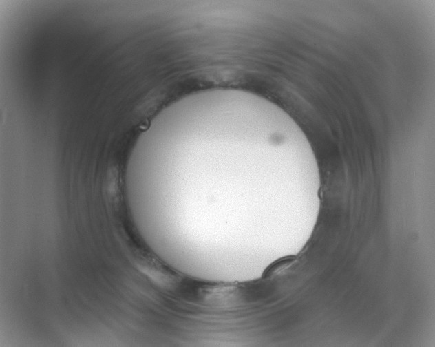 X0000074940132200609152014