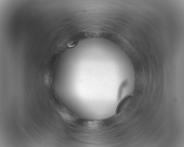 X0000074940134200609152014