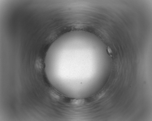 X0000074940135200609152014