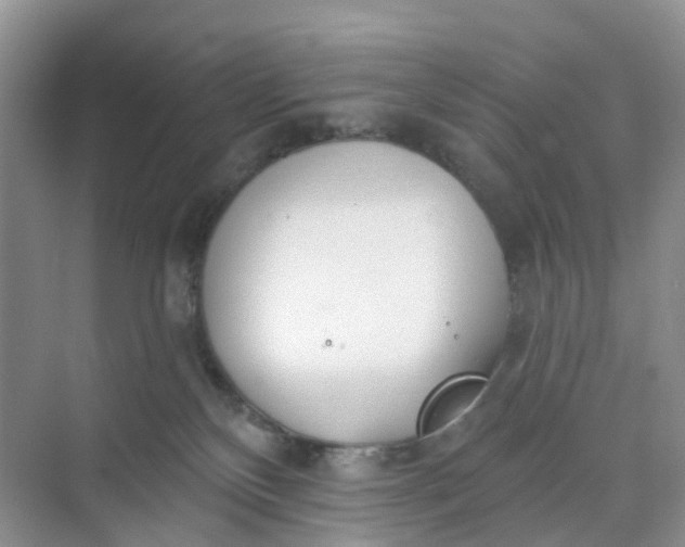 X0000074940136200609152014