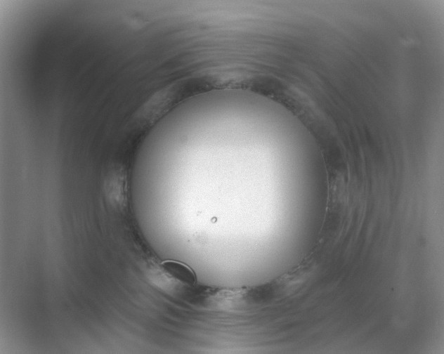 X0000074940138200609152014