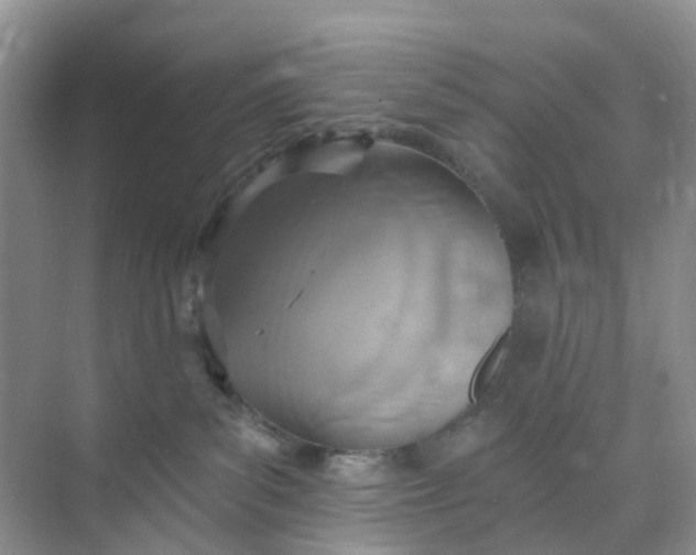 X0000074940139200609152014