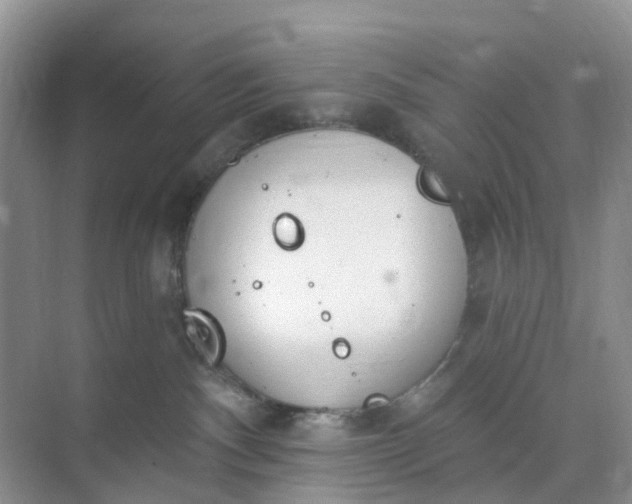 X0000074940140200609152014