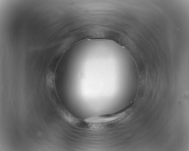 X0000074940141200609152014