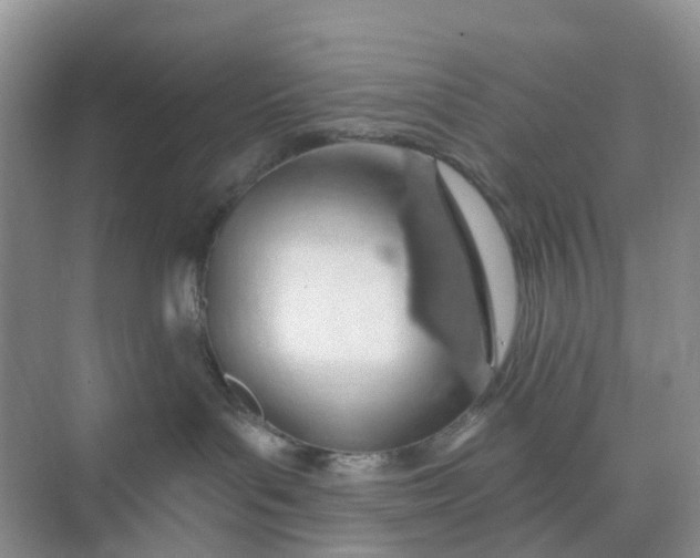 X0000074940143200609152014