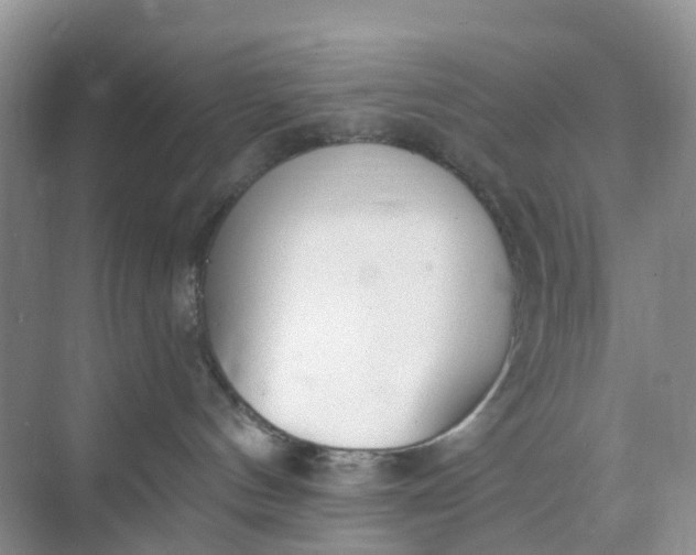 X0000074940144200609152014