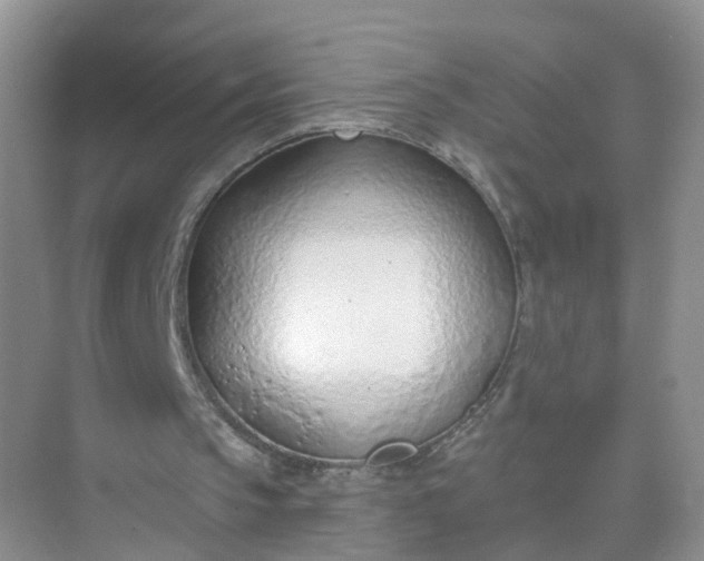 X0000074940145200609152013