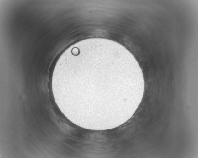 X0000074940146200609152013