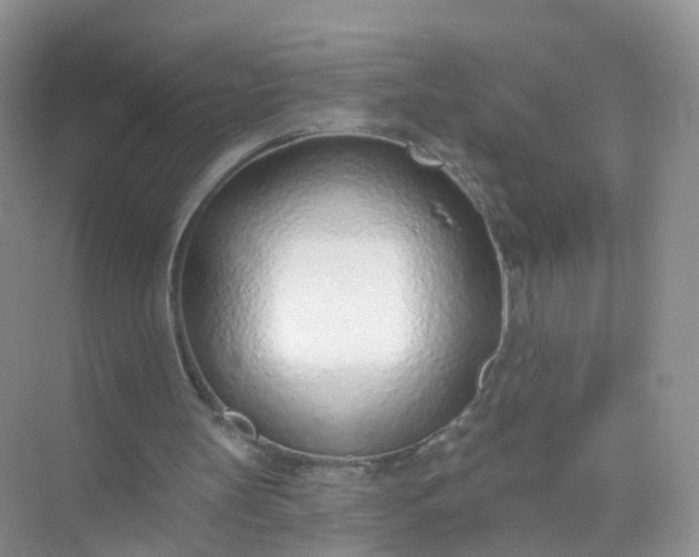 X0000074940147200609152013